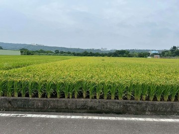竹北臨路方正美農地｜新竹縣竹北市麻園