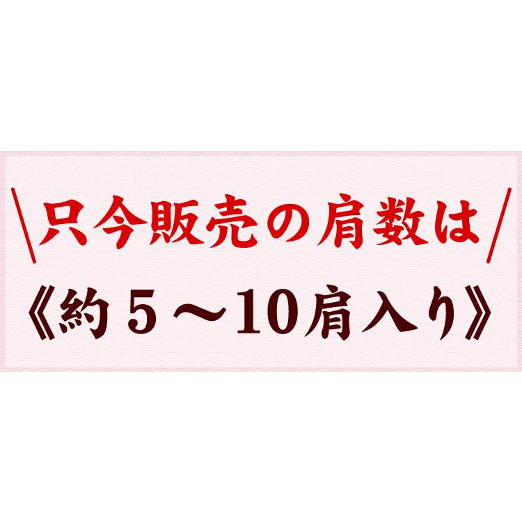 ズワイガニ足 2kg（約5-10肩入り）本ズワイガニ脚 ずわい蟹 ズワイ蟹 北海道 お取り寄せグルメ 送料無料（沖縄宛は別途送料を加算）