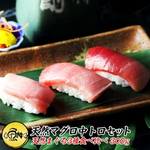 天然本マグロ 中トロ 3種約2人前 各100g×3個 300g ミナミマグロ 本マグロ めばち鮪  養殖でも訳ありでもありません！