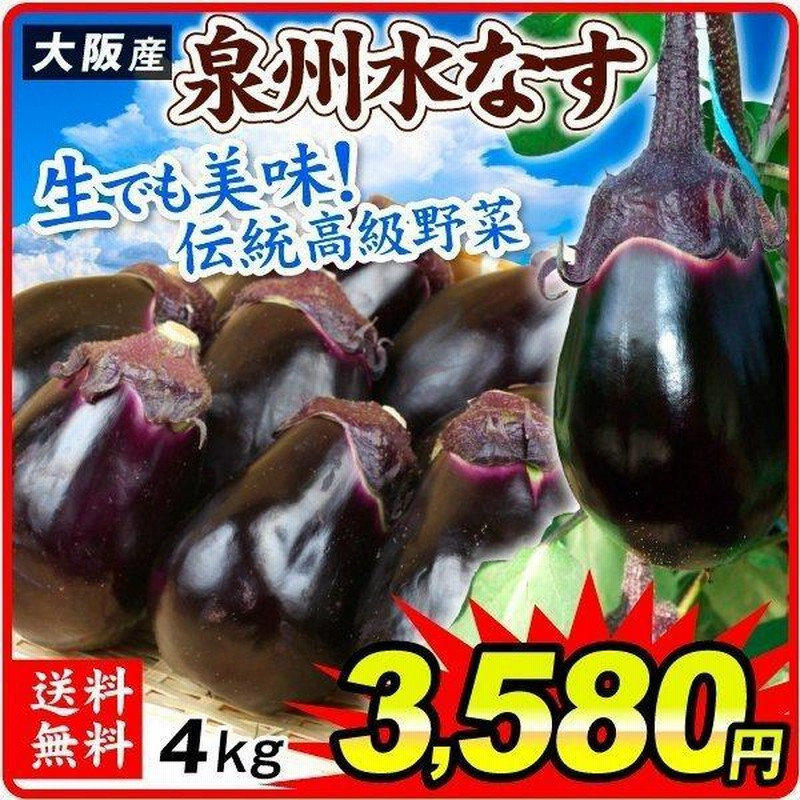 生野菜丸い小さいなす5kg