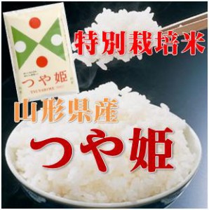 産地生産者限定 令和５年産　山形県産　特別栽培 つや姫  白米 １０kg(５kg×２)