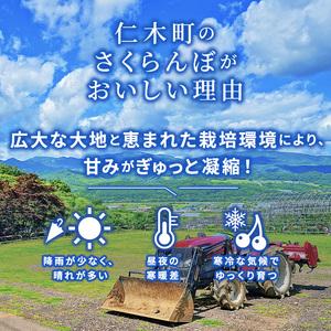 ふるさと納税 先行予約 北海道 仁木町産 さくらんぼ 約2kg 2Lサイズ 仁木ファーム 果実 北海道仁木町