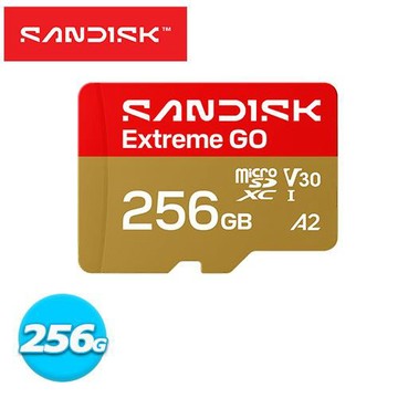SANDISK Extreme GO microSD UHS-I 256GB 記憶卡