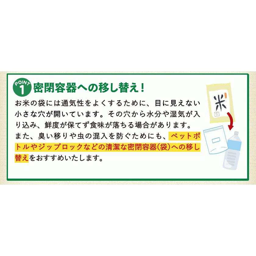 令和4年産 ひのひかり 10kg (5kg ×2袋)  米10kg 米 10kg お米 送料無料 熊本県産  精米 白米《1-5営業日以内に発送予定(土日祝日除く)》