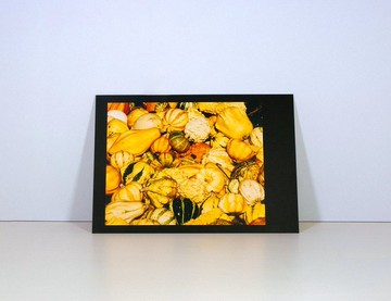 攝影明信片 | 秋季南瓜的豐收I-貝希特斯加登的拉姆紹-貝希特斯加登郡的秋天-巴伐利亞-德國