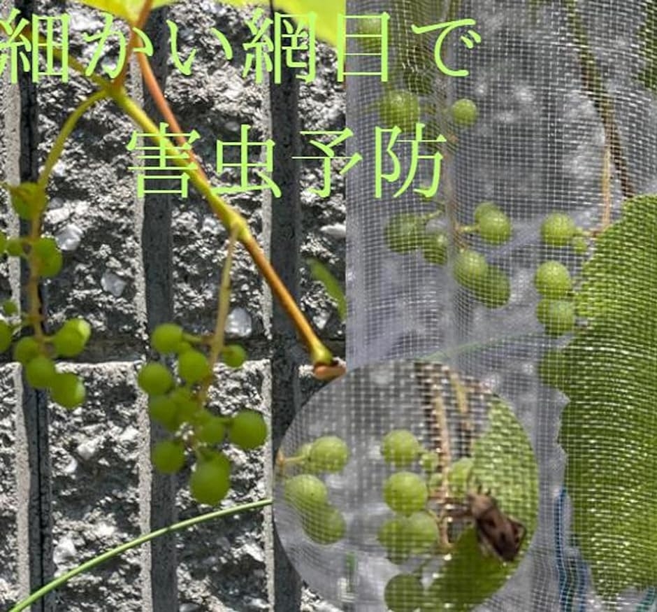 3枚入り 植物 防虫ネット 保護 網 野菜 栽培 園芸用 カバー 鳥 害虫 対策 極細1mm目 MDM( 80cmx100cm)