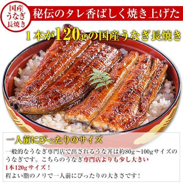 うなぎ 蒲焼き 国産 選べる2種 ウナギ 鰻 蒲焼 送料無料 ギフト お歳暮 御歳暮