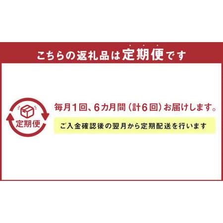 ふるさと納税 くまさんの輝き10kg(5kg×2袋) × 6回(計60kg)お米 精米 熊本県