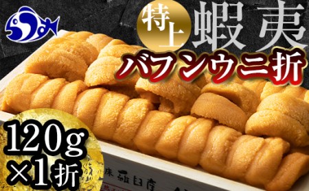 先行予約 羅臼産 折うに 120g 北海道知床羅臼産 天然 エゾバフンうに（特上） UNI-0105