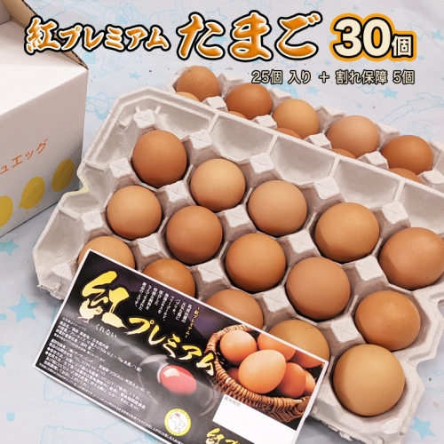 紅プレミアム 卵 30個 （ 25個 入り ＋ 割れ保障 5個 ） 独自飼料 濃厚 おいしい玉子 玉子 たまご サンサンエッグ タンパク質 [CX01-NT]