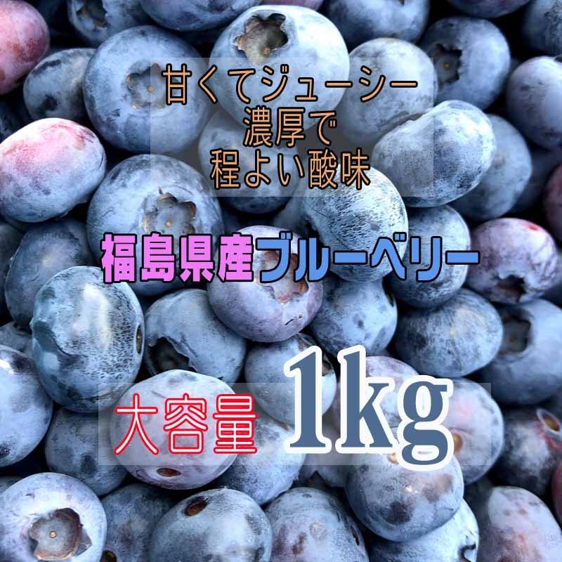 ブルーベリー 1kg 福島県産 減農薬 無化学肥料栽培 冷凍