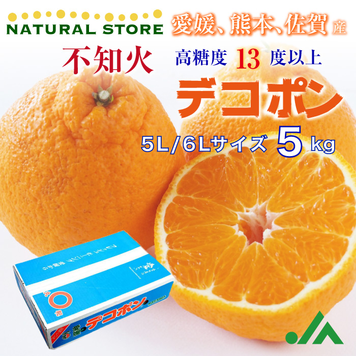 [予約 12月1日-12月20日の納品] デコポン 不知火 5kg 熊本県産 佐賀県産 5L 6L 柑橘 高糖度 みかんの王様 冬ギフト お歳暮 御歳暮 冬ギフト お歳暮 御歳暮