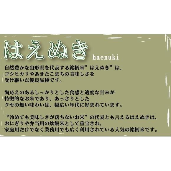 特価 新米 20kg 5kg×4袋 はえぬき 山形県産 白米 精白米 令和5年産 送料無料（SL）