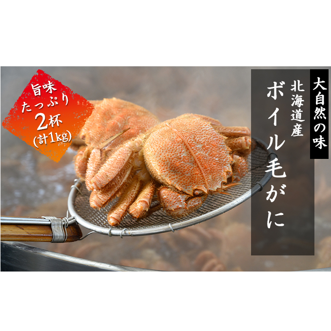 北海道産 ボイル 毛蟹 2杯 約1kg 蟹 カニ かに 毛ガニ 毛がに 噴火湾 魚介類 海の幸 海鮮 天然 職人 蟹味噌 丸ごと 蟹肉 蟹姿 産地直送 お取り寄せ 山村水産 送料無料