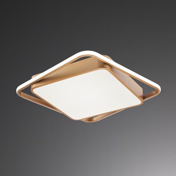 45W 三色變光吸頂燈 B209-050115