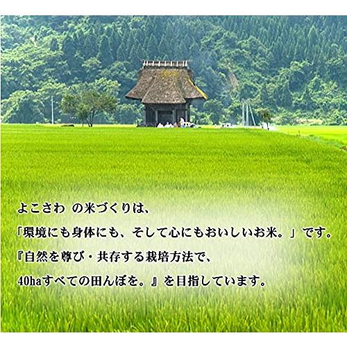 JAS有機米 新潟コシヒカリ 白米(精米) 10kg(5kg×2袋)／原点回帰米 農薬不使用 有機栽培 有機米 JAS認証 オーガニック