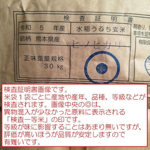 新米 令和5年 熊本県 球磨地方産 白米 ひのひかり 5kg