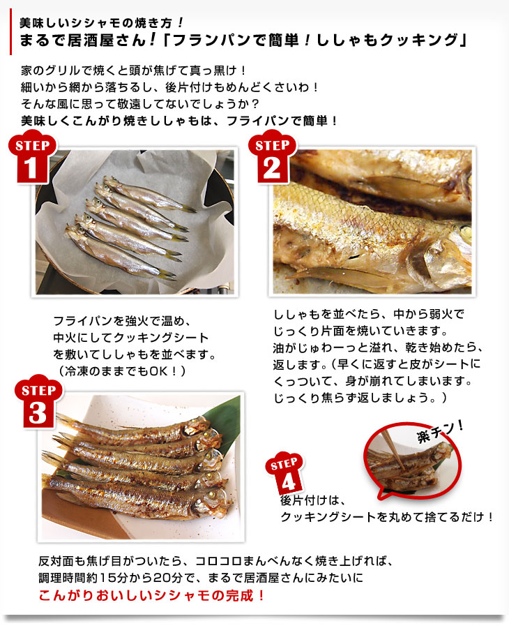 北海道より直送 北海道産 本ししゃも 子持ちのメス 20尾（10尾×2入り） 送料無料 北柳葉魚 本シシャモ