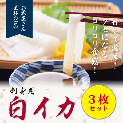 白く美しい身は甘くて濃厚「白イカ(剣先イカ)」(冷凍)(井上勝義商店・もとうお)