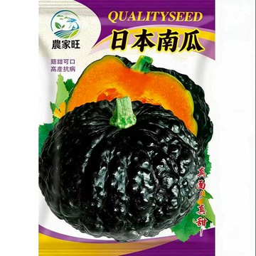 【原廠包裝】日本栗子南瓜種子（Japanese Pumpkin）16粒 粉質香甜 栗子口感 家庭菜園 陽台盆栽 豐產易種