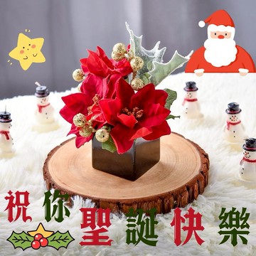 【Meric Garden】高仿真台灣手工限定金雪亮聖誕紅小盆栽