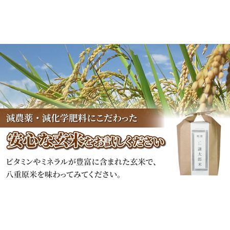 ふるさと納税 八重原産特別栽培米（減農薬・減化学肥料栽培）コシヒカリ玄米５kg 長野県東御市