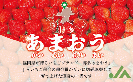 博多あまおう 約280g×6パック(春) あまおう いちご 苺 果物 フルーツ 福岡県産 博多