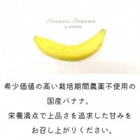 フローズンバナナ（皮なし）80g×6袋 『京都はんなりばなな』 《栽培期間中農薬不使用 京都 亀岡産 希少 おやつ スムージー アイス 小分け》