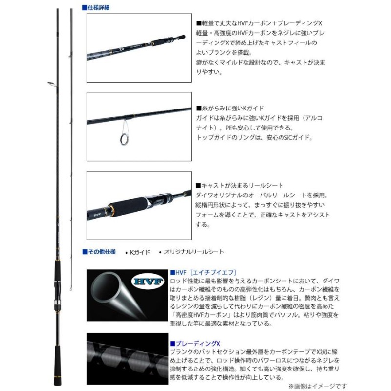 DVDルアー付】【シーバス(ショア)入門セット】○ダイワ 21 シーバス