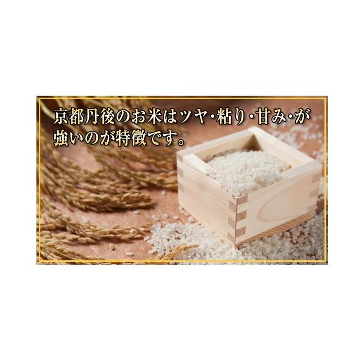 新米 お米 玄米 10kg こしひかり 京都米 丹後産 5kg×2袋 一等米 令和5年産