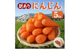 訳あり にんじん 5kg