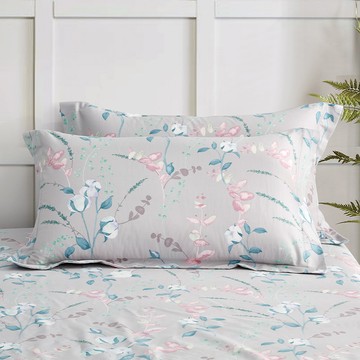 (無被套)Miile美麗棉系列 / 三件式床包枕套組 / 淺草凝香