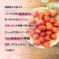 MZ038 福岡県産 あまおうDX以上 500g（2パック） 先行予約 2023年12月1日～12月30日に順次発送