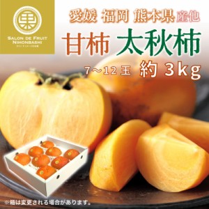 [予約 10月1日-11月30日の納品] 太秋柿 約 3kg 7-12玉 甘柿 かき たいしゅうがき 秋ギフト 愛媛 福岡 熊本 他 化粧箱 柿