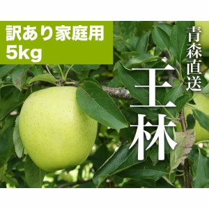 RED APPLE 青森直送 12月上旬より順次出荷 王林 訳あり家庭用 約5kg りんご 林檎 果物 フルーツ ギフト 旬