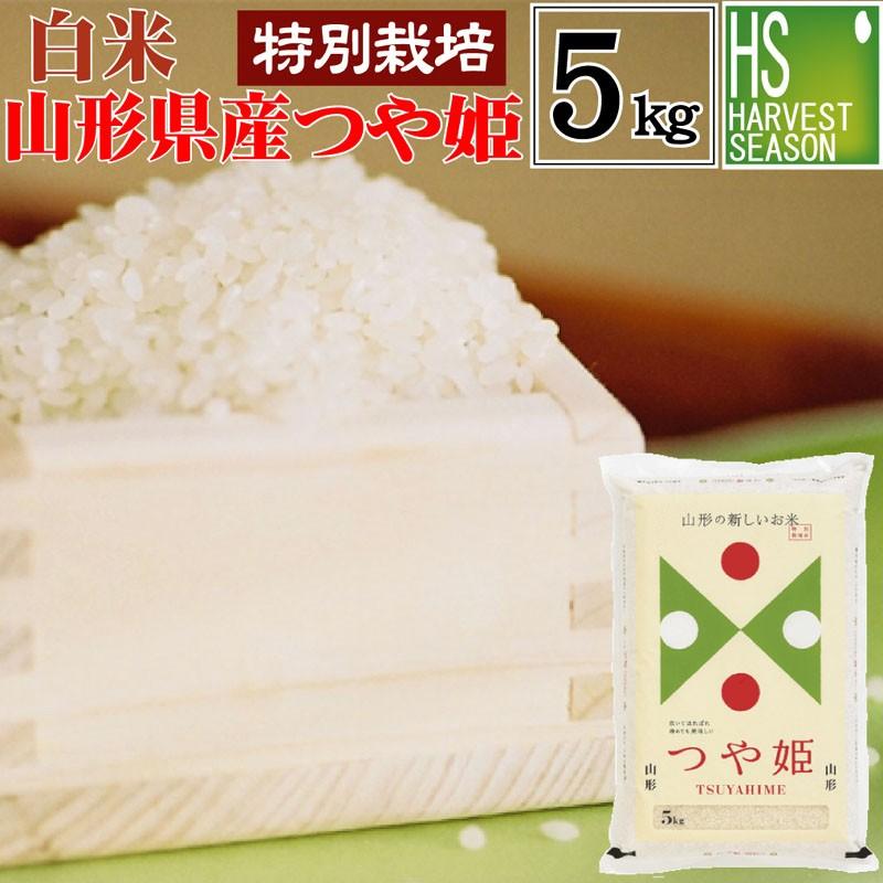 [新米] 令和5年産 5kg つや姫 山形県産 精白米 白米  特別栽培米 送料無料（SL）