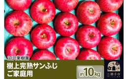 樹上完熟サンふじ ご家庭用 約10kg（26～46玉前後）