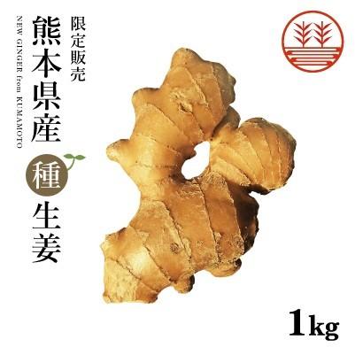 種生姜 熊本県産無農薬生姜 1kg 国産 生姜 生姜栽培 しょうが栽培 家庭菜園 たね生姜 生姜の種 種芋