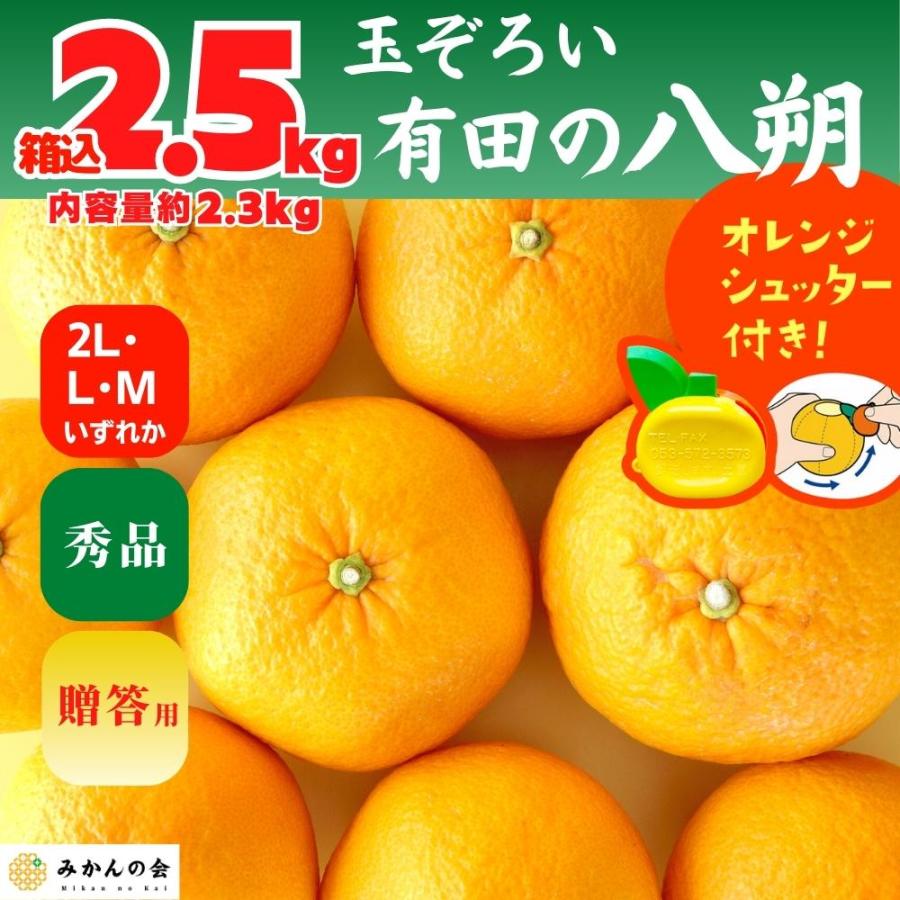 八朔 (はっさく) 秀品 玉ぞろい 箱込 2.5kg(内容量約 2.3kg) 2L L Mサイズのいずれか 和歌山県産  産地直送