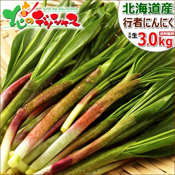 北海道産 山菜 行者にんにく 3kg(食用) 天然 行者ニンニク ギョウジャニンニク キトビロ 自宅用 人気 北海道 グルメ 送料無料 お取り寄せ