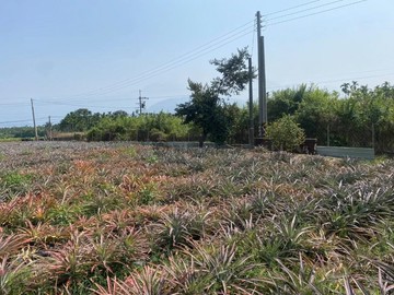 泗溝水寶袋農地|便利|可蓋合法農舍↘️下殺↘️｜屏東縣萬巒鄉永慶段