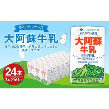 ふるさと納税 大阿蘇牛乳 250ml×24本 1ケース 生乳 100% ミルク 成分無調整牛乳 熊本県宇城市