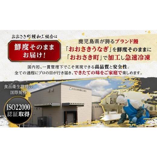 ふるさと納税 鹿児島県 大崎町 鹿児島県産うなぎまぜご飯の素　2食入り×5袋