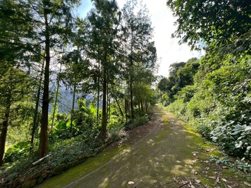 竹山休閒渡假｜獨棟大地坪｜丙建｜懷舊平房｜南投縣竹山鎮田南巷