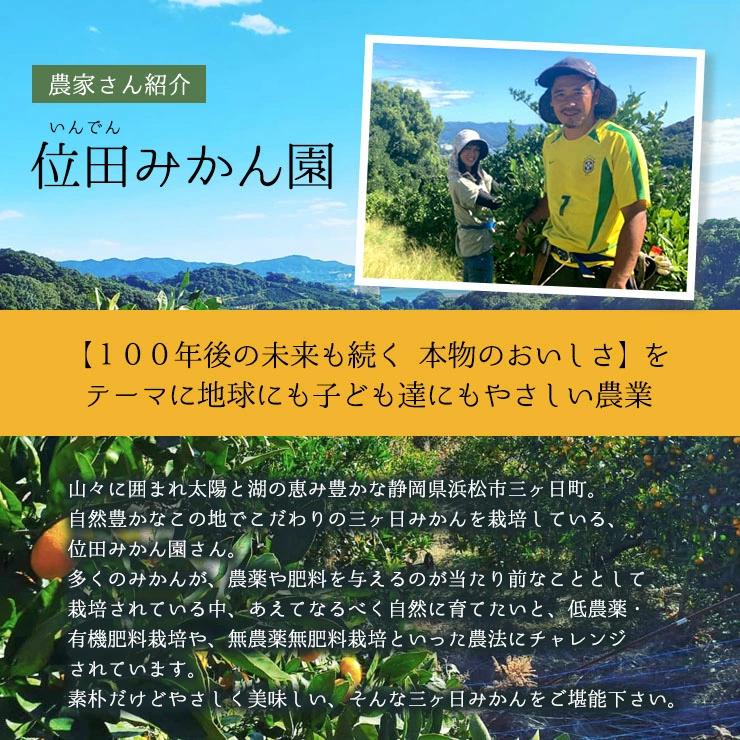  低農薬 有機栽培 三ヶ日 早生 みかん 10kg 送料無料 訳あり やさしいらぁ 3S 〜 3L サイズ不揃い 特別栽培 有機肥料 三ヶ日みかん 産地直送 農家直