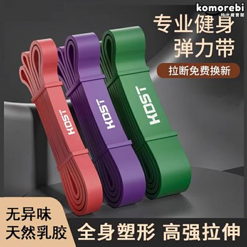 【德國高彈】彈力帶 阻力帶 拉力帶 健身帶 力量訓練帶 助力帶 引體向上輔助 多磅數可選 男女通用 家用便攜