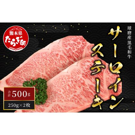 ふるさと納税  球磨産 黒毛和牛 サーロイン ステーキ 計500g ＜ 250g ×2枚 ＞【 黒毛和牛 国産黒毛和牛 黒毛和牛ステーキ サ.. 熊本県多良木町