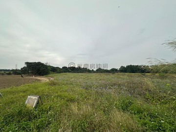 新化區|果菜市場|新化段『4.5分』優質農地｜台南市新化區新化段王公廟小段