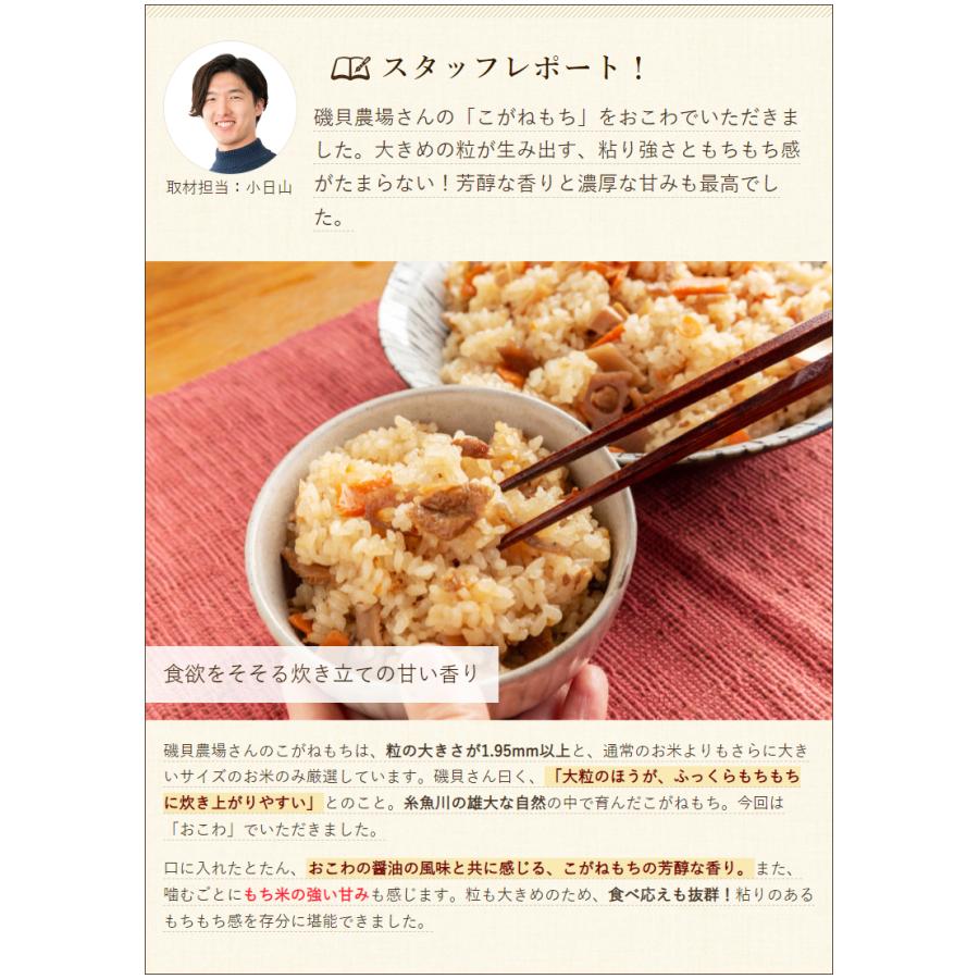 特別栽培米（減農薬・減化学肥料）新潟産こがねもち 精米3kg 磯貝農場 料無料