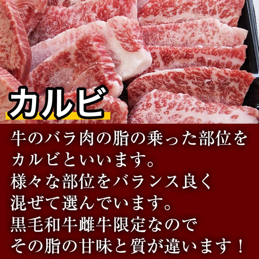 訳あり 黒毛和牛 不揃い カルビ 500g 3~5人前 おまけのタレ付き